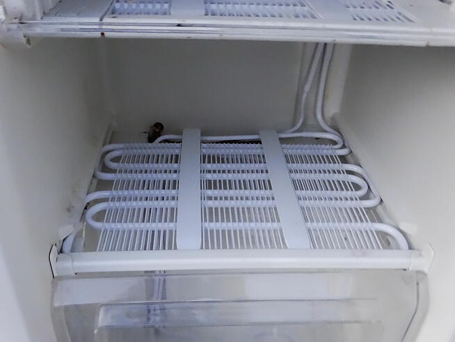 Zamrażarka PKM GS 119A 90 litrów