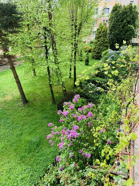 Wynajmę mieszkanie na I Brygady