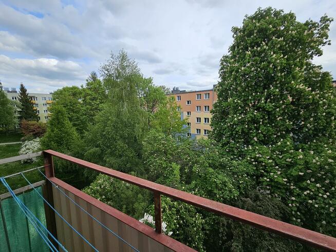 LSM Irydiona Pokój - salon 23m2 dwuosobowy lub jednoosobowy