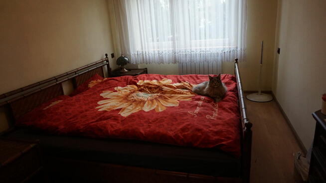 Dom x2 w Gorzowie Wielkopolskim