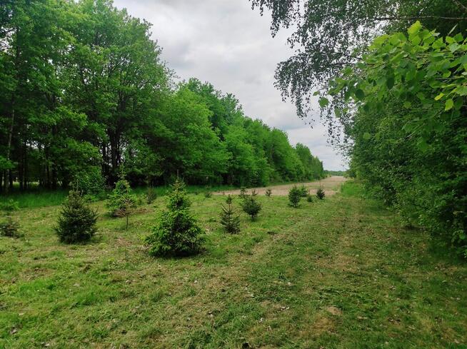 OKAZJA! Działka z zabudowaniami w Izbiskach