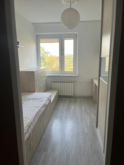 Wynajmę mieszkanie od zaraz