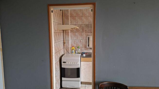 Mieszkanie do wynajęcia