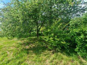 Sprzedam działkę ROD WIDOK ul. Nehringa