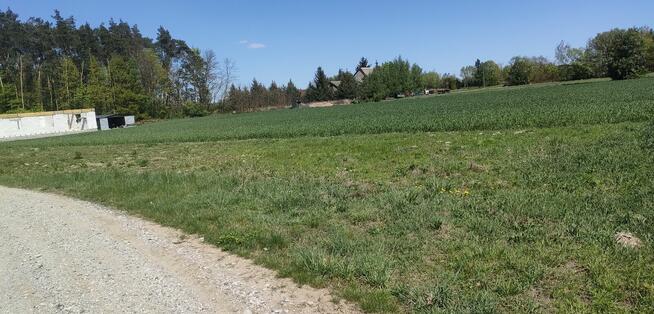 Działki budowlane Jackowo Włościańskie