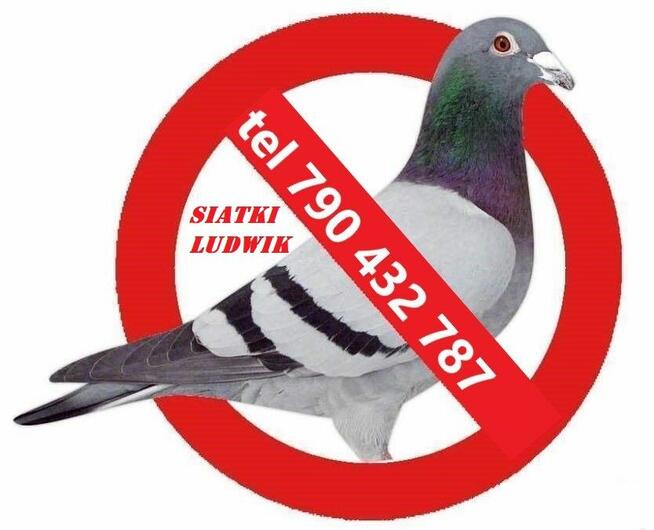 siatka dla kota na taras, balkon okna ,