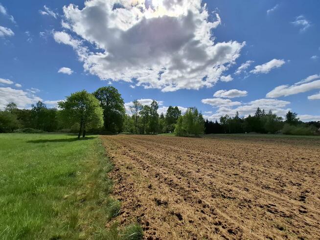 Działka Rudnik nad Sanem