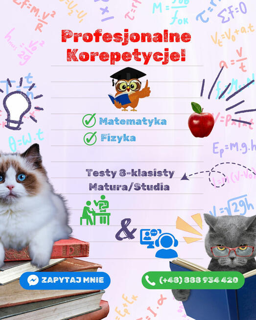 Oferuję Profesjonalne Korepetycje online z matematyki