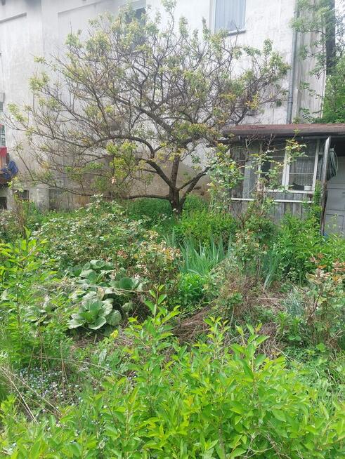 Sprzedam działkę rekreacyjną. ROD MŁYNARZ