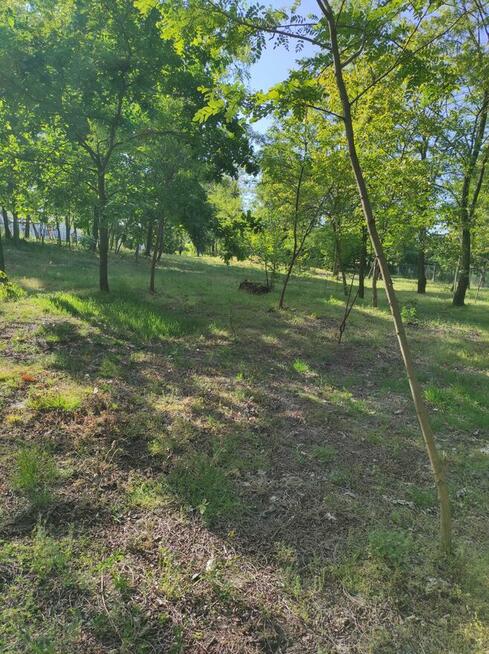 Sprzedam działkę z możliwością zabudowy