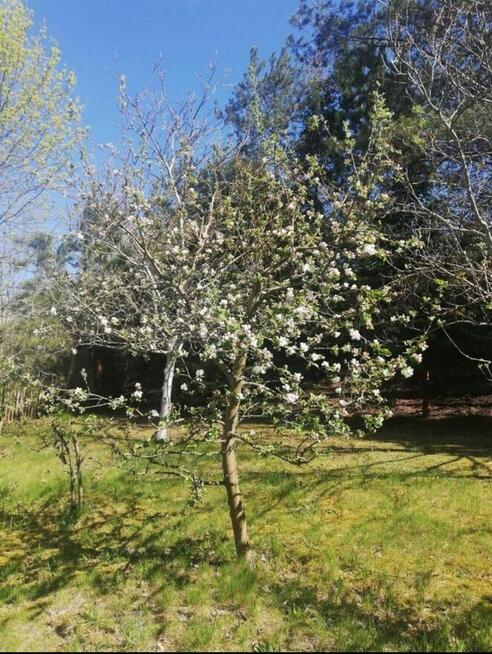 Dom nad jeziorem do wynajęcie super wakacje