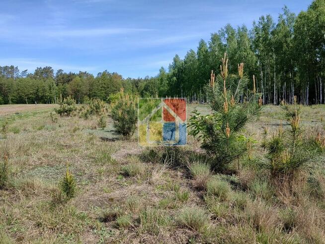 Działka pod zabudowę w okolicy dwóch jezior