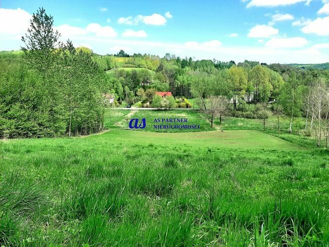 Widokowa działka z WZ, Błędowa Tyczyńska, 28ar