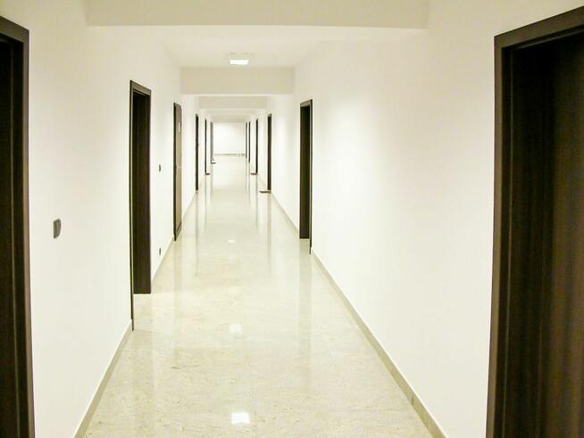 Lokal użytkowy Gdynia Śródmieście, Gołębia