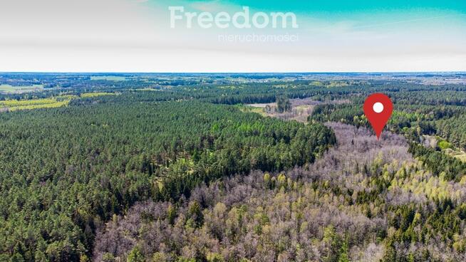 Duża działka leśna we wsi Bobrowa