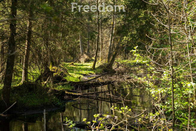 Duża działka leśna we wsi Bobrowa