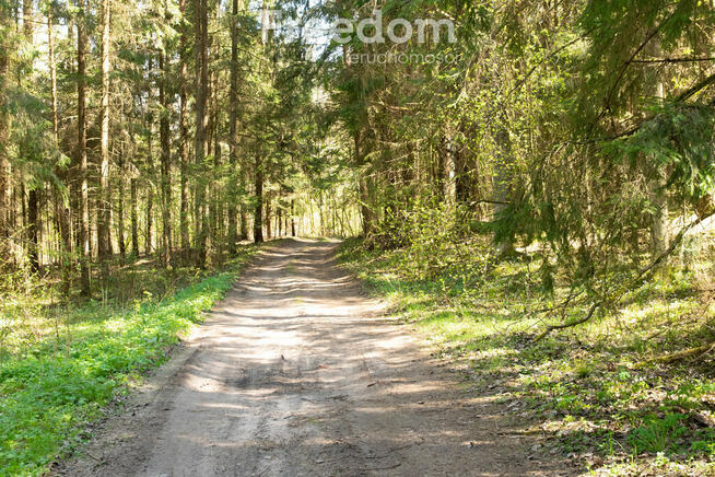 Duża działka leśna we wsi Bobrowa