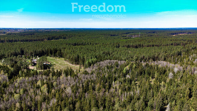 Duża działka leśna we wsi Bobrowa