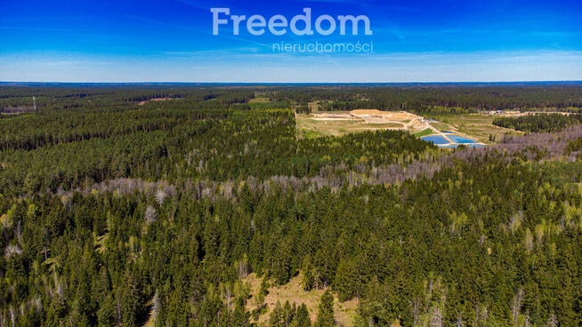 Duża działka leśna we wsi Bobrowa