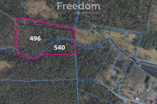 Duża działka leśna we wsi Bobrowa