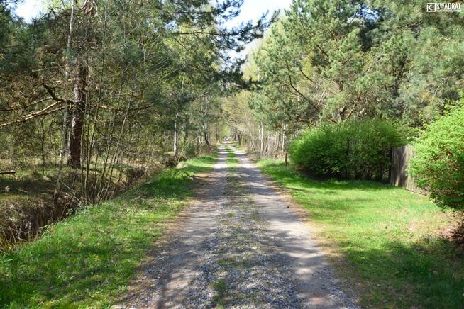 Działka budowlana Nowy Staw gm. Niemce