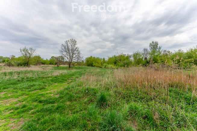 Unikalna działka przy rzece Jeziorka
