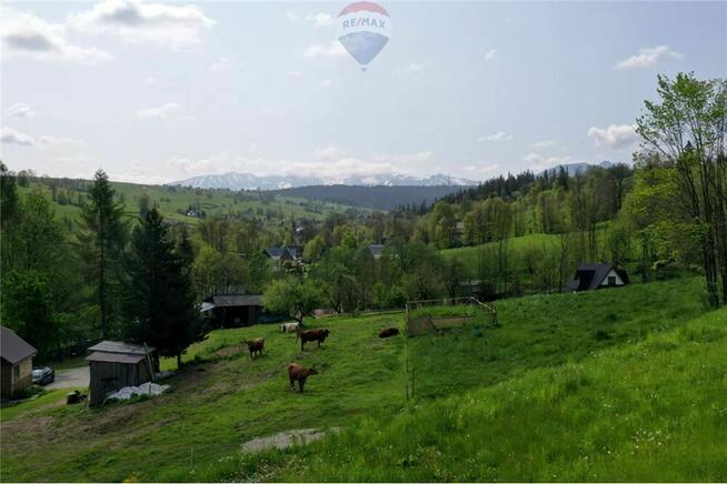 Działka z kawałkiem lasu