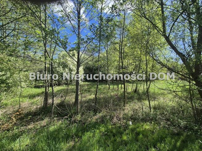 Działka Korwinów gm. Poczesna