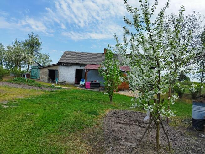 Sprzedam siedlisko dom działka 2700m/2