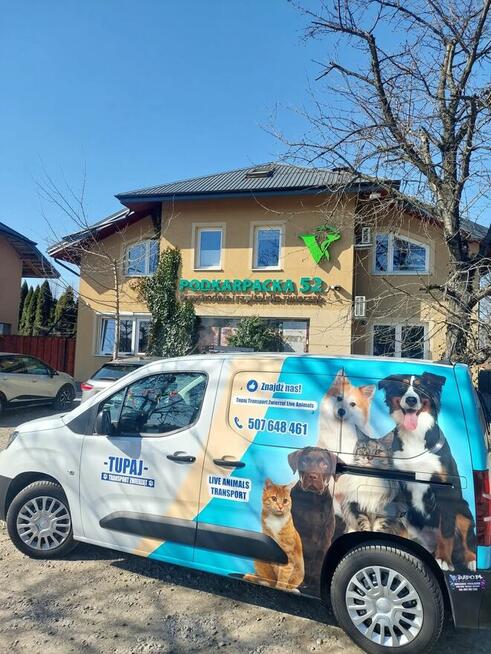 TRANSPORT ZWIERZĄT Psów kotów Live Animals transport