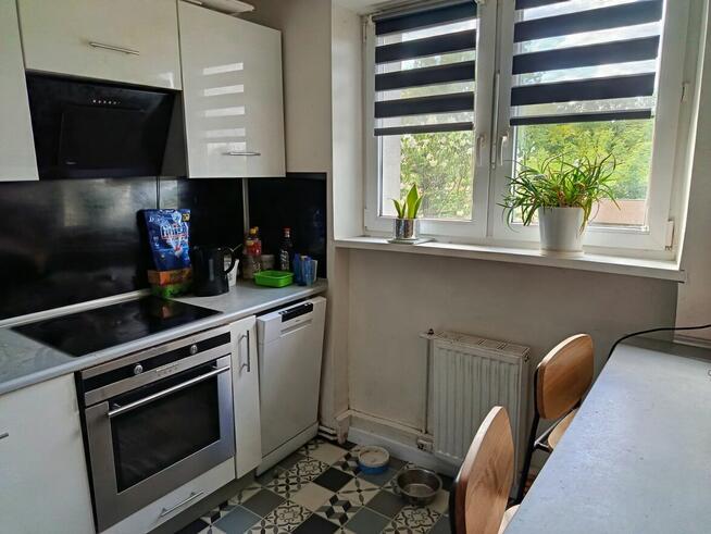 2 pokojowe, 1 piętro, ogródek, czynsz 84 zł