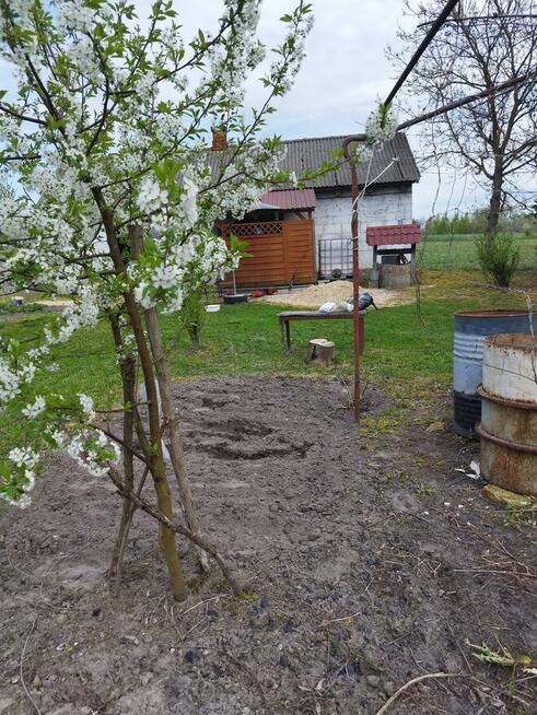 Sprzedam siedlisko dom działka 2700m/2