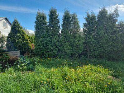 Sprzedam działkę ROD WIDOK ul. Nehringa