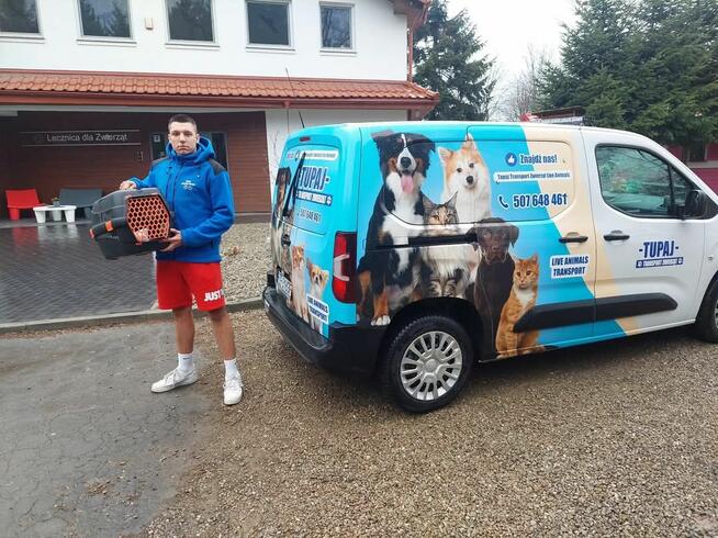 TRANSPORT ZWIERZĄT Psów kotów Live Animals transport
