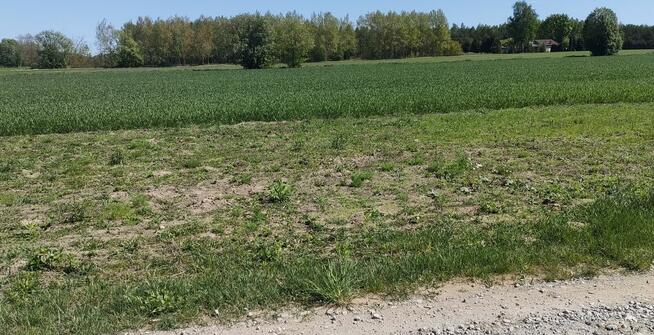 Działki budowlane Jackowo Włościańskie