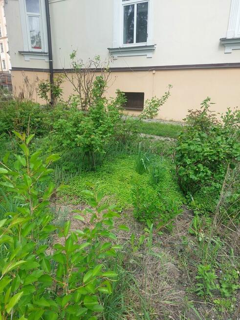 Sprzedam działkę rekreacyjną. ROD MŁYNARZ