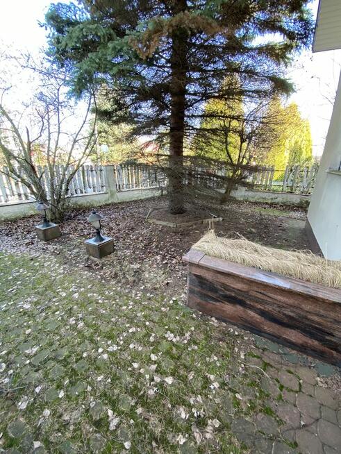 Dom jednorodzinny w Centrum – przestrzeń, zieleń i komfort!