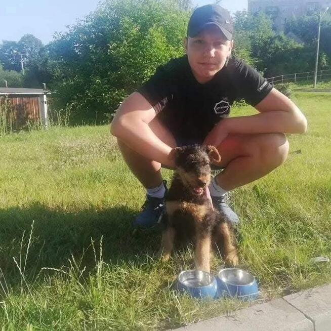 TRANSPORT ZWIERZĄT Psów kotów Live Animals transport