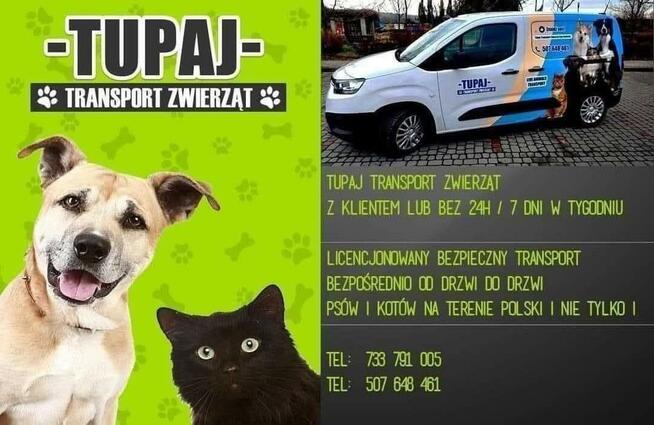 Tupaj Usługi Przewozowe