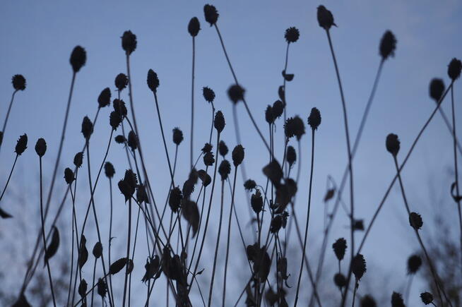 Dariusz Śliwiński Biznesfoto