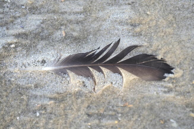 Dariusz Śliwiński Biznesfoto