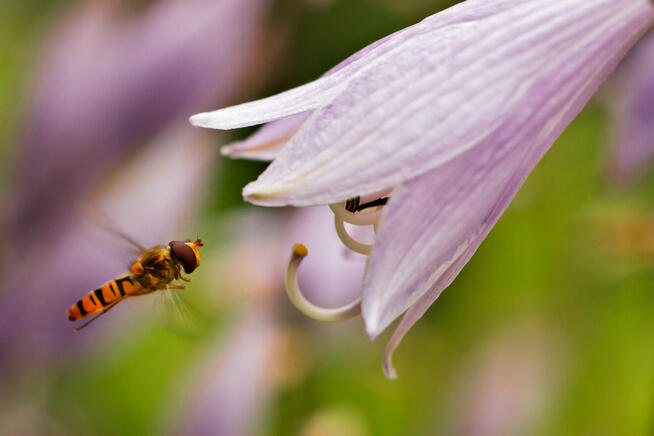 Dariusz Śliwiński Biznesfoto