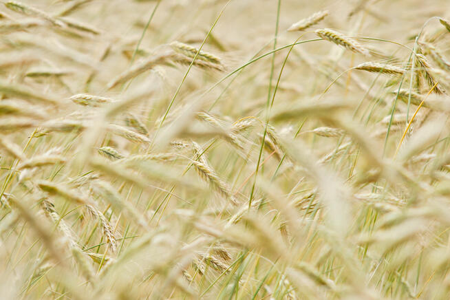 Dariusz Śliwiński Biznesfoto