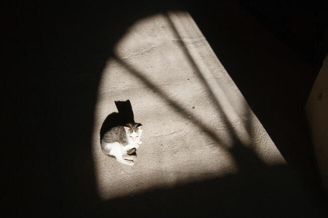 Dariusz Śliwiński Biznesfoto