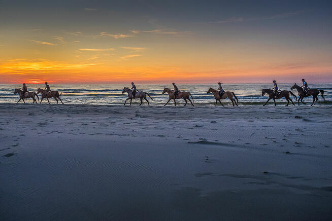 Dariusz Śliwiński Biznesfoto