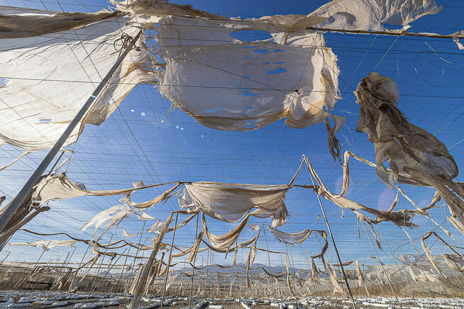 Dariusz Śliwiński Biznesfoto