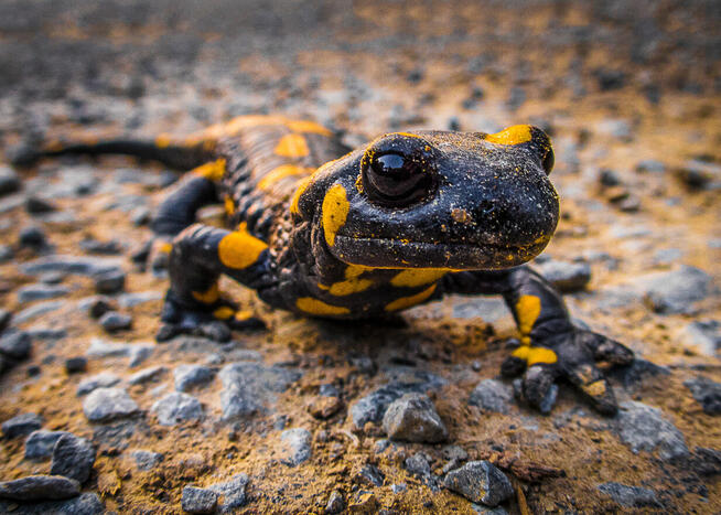 Dariusz Śliwiński Biznesfoto