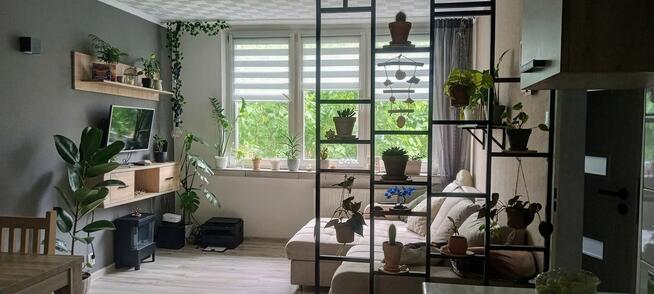 Zmienię urocze 45m na większe rozważymy każdy rejon Polski