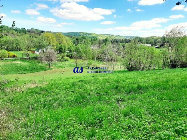 Widokowa działka z WZ, Błędowa Tyczyńska, 28ar