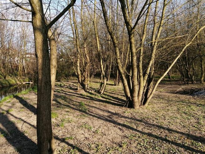 Idealna działka budowlana z WZ,15 AR, Media, Skołoszów